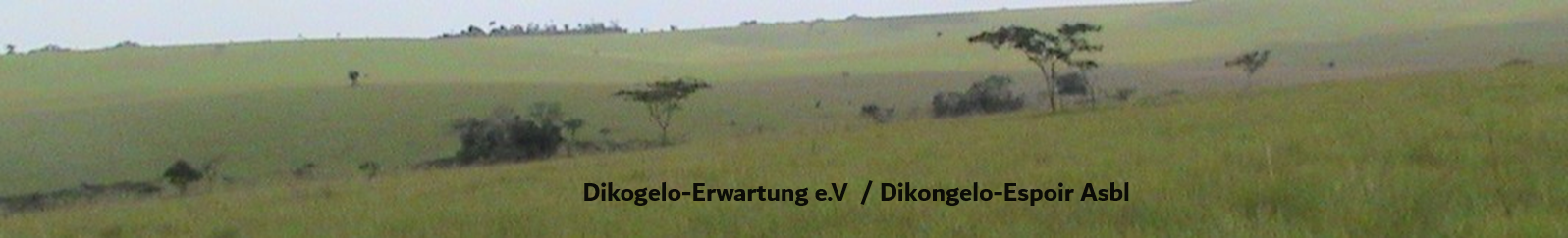 erwartung-dikongelo.de